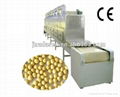 Soybean/mung bean microwave dryer