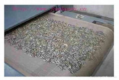 microwave sunflower seeds drying&sterilization machine