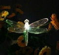 2012 hot sell solar butterfly/dragonfly light  2