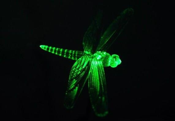 2012 hot sell solar butterfly/dragonfly light  3