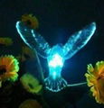 2012 hot sell solar butterfly/dragonfly light  4