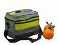 picnic cooler bag with adjustable handle