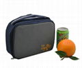 Picnic cooler bag   1