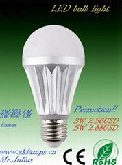 LED bulb light