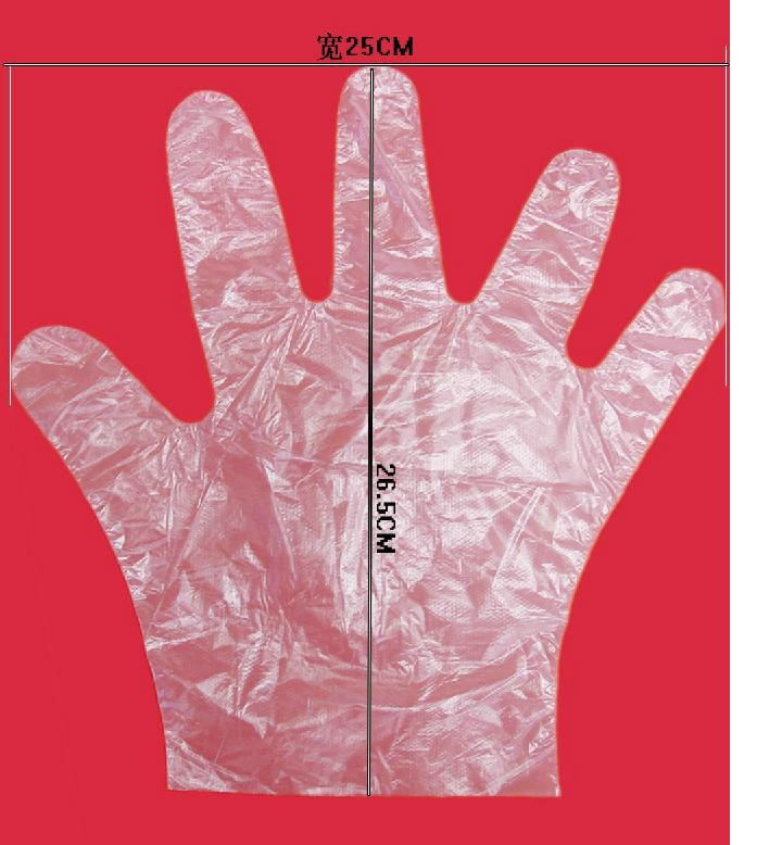 PE DISPOSABLE GLOVE 2