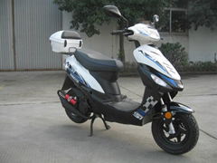 GAS SCOOTER MOPED EEC SCOOTER 50CC