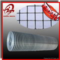 Welded Mesh(factory)