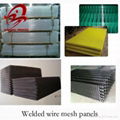 welded wire mesh panel(factory,low price