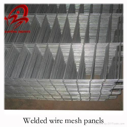 welded wire mesh panel(factory,low price, high quality) 2