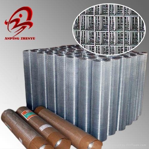 Hot dipped Galvanized After Welded Wire Mesh(factory) 2