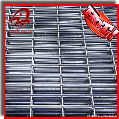 Welded wire mesh panel(factory,low price, high quality)