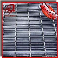 Welded wire mesh panel(factory,low price