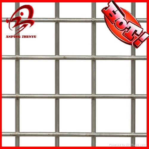 Welded wire mesh panel(factory,low price, high quality) 2