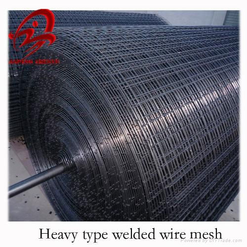 Heavy gauge pvc coated welded wire mesh 2