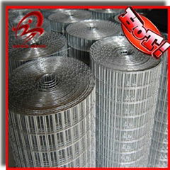 Hot dipped galvanized welded wire mesh