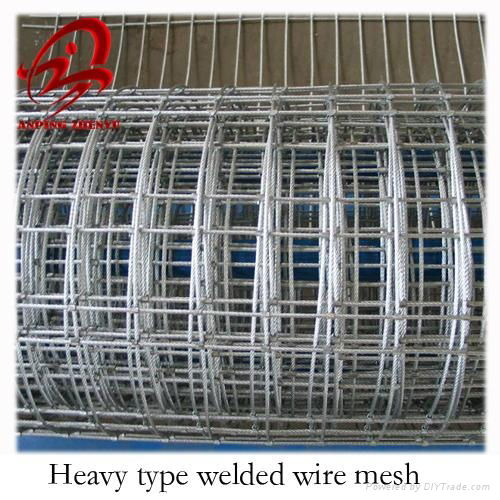 Heavy type welded wire mesh(manufacturer)