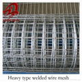 Heavy type welded wire mesh(manufacturer)