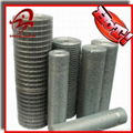 Welded Wire Mesh(manufacturer)