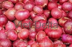 Red onion