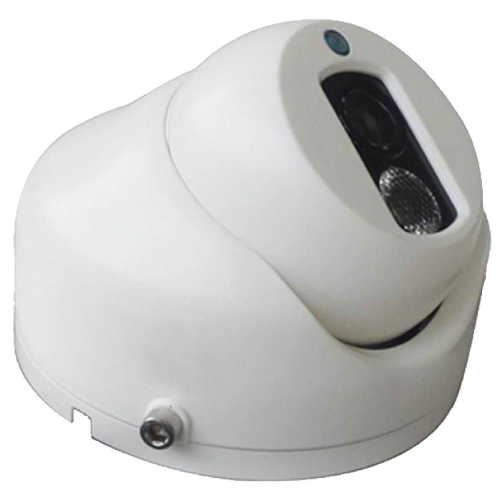 Array Dome Analog Camera with Motion Detection
