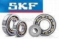 Supply original SKF taper roller bearings 