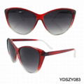 Cat Eye Sunglasses 1