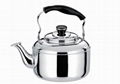 High Quality Stainless Steel Tea Pots