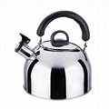 High Quality Stainless Steel Tea Pots 3
