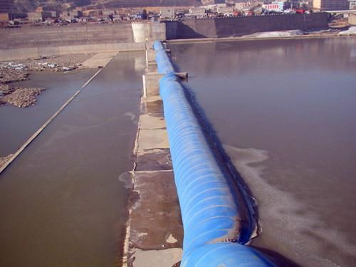 Disturbed flow dam（with deflectors） 5