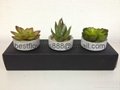 artificial potted succulent