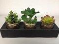 artificial potted succulent 4