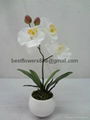 artificial orchid with pot 4