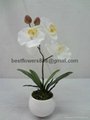 potted artifcial orchid 3