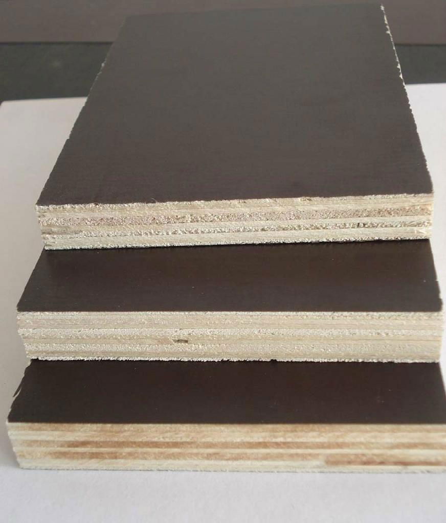 Construction film faced Plywood