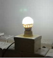 LED bulb   2