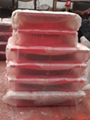 Bridge bearing pad 2