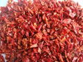 sell dried red bell pepper 1