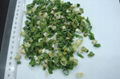 supply dried spring onion 1