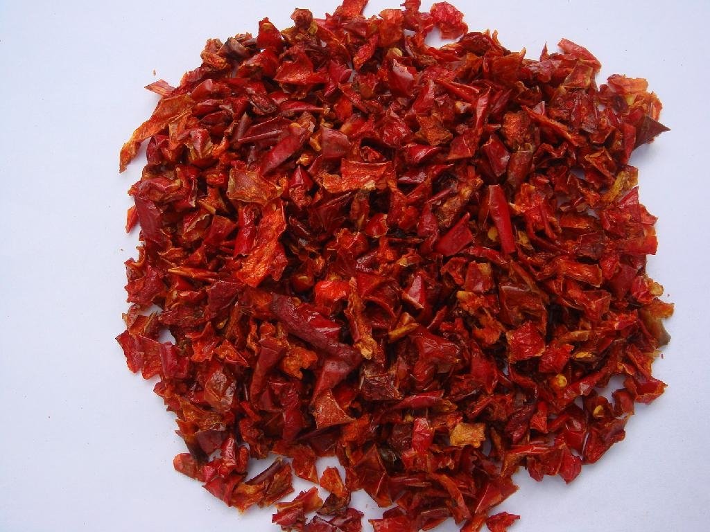 sell dried red chili