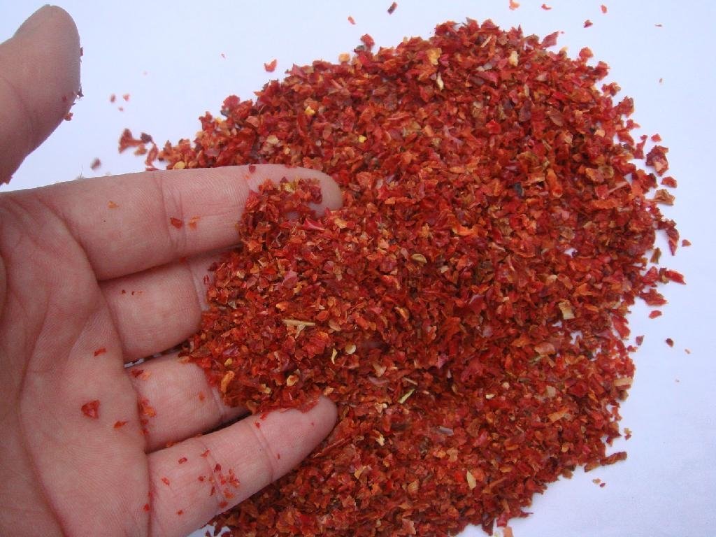 sell dried red chili 2