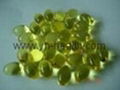 Children fish oil capsules 1