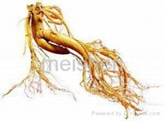 magnesium oxide for ginseng decolor