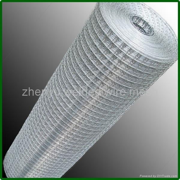 galvanized welded wire mesh