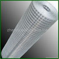 galvanized welded wire mesh