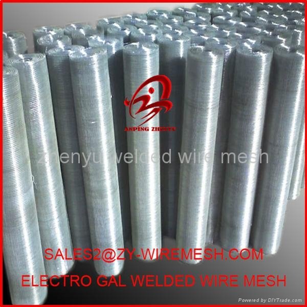 galvanized welded wire mesh 2