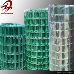 PVC Coated Holland Wire Mesh Fence