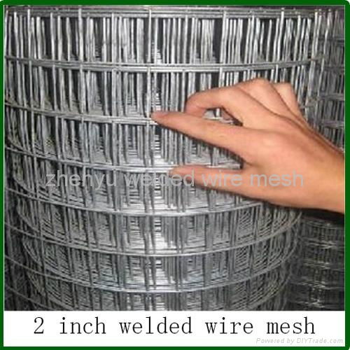 2x2 galvanized welded wire mesh