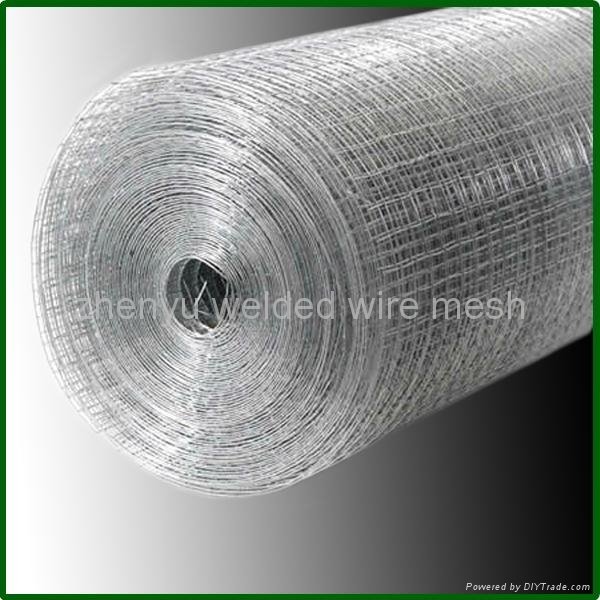 2x2 galvanized welded wire mesh 2