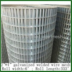 10 gauge welded wire netting