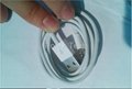 Lightning iPhone5 charging/sync data cable 5